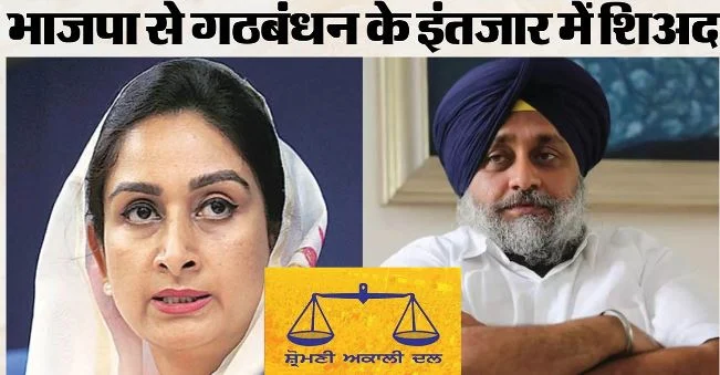 भाजपा-शिअद गठबंधन पर बातचीत अंतिम दौर में: 40 सीटों पर चुनाव लड़ सकती है भाजपा, दीपावली के बाद घोषणा संभव