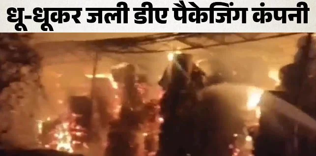 राजस्थान: भिवाड़ी की डीए पैकेजिंग कंपनी में भीषण आग, मची अफरा-तफरी, भारी नुकसान की आशंका