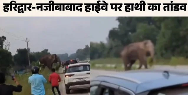 गुस्से में गजराज: थार पर किया हमला, तीन बार पलटने की कोशिश की, बाल-बाल बचे सवार