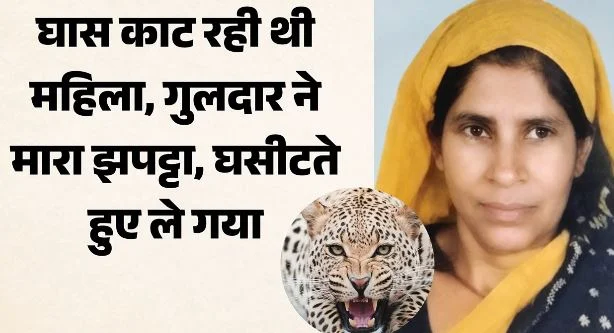 श्रीनगर: तरुली गांव में घास लेने जंगल गई महिला को गुलदार ने मार डाला, महिलाओं के शोर मचाने पर भागा
