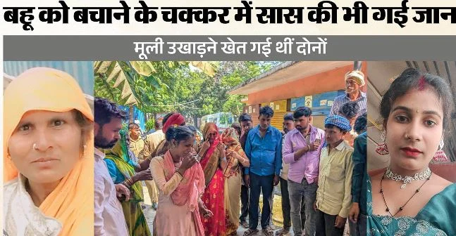 UP- मूली उखाड़ने खेत गईं सास-बहू की मौत: युवती के सामने गई मां और भाभी की जान, बचाने के चक्कर में खुद झुलसी