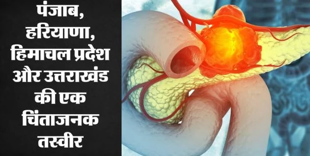 ग्राउंड रिपोर्ट: हर साल बढ़ रहे कैंसर के मरीज, कहीं तंबाकू सेवन तो कहीं औद्योगिक गतिविधियां जिम्मेदार, पड़ताल