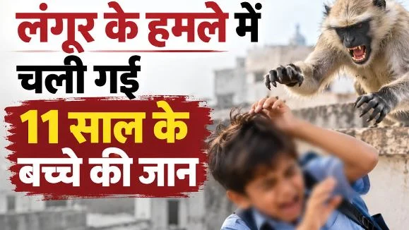 उत्तराखंड: यमकेश्वर में लंगूर के हमले से कोमा में गए बच्चे की एम्स में मौत, क्षेत्र में शोक की लहर