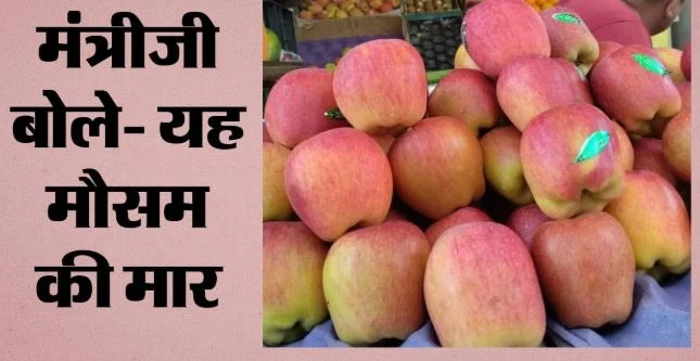 सेब होगा महंगा- इस बार 40 फीसदी कम हुई पैदावार, हिमाचल प्रदेश और जम्मू-कश्मीर में खेती पर मौसम की मार